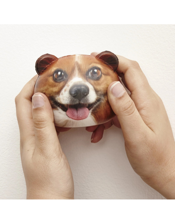 Balle anti-stress CHIEN