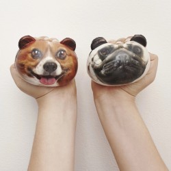 Balle anti-stress CHIEN
