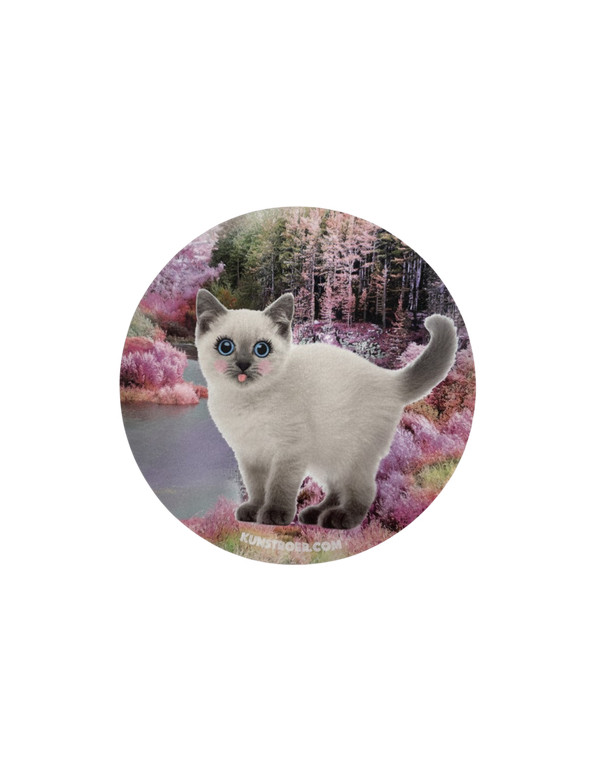 Autocollant CHAT FORET