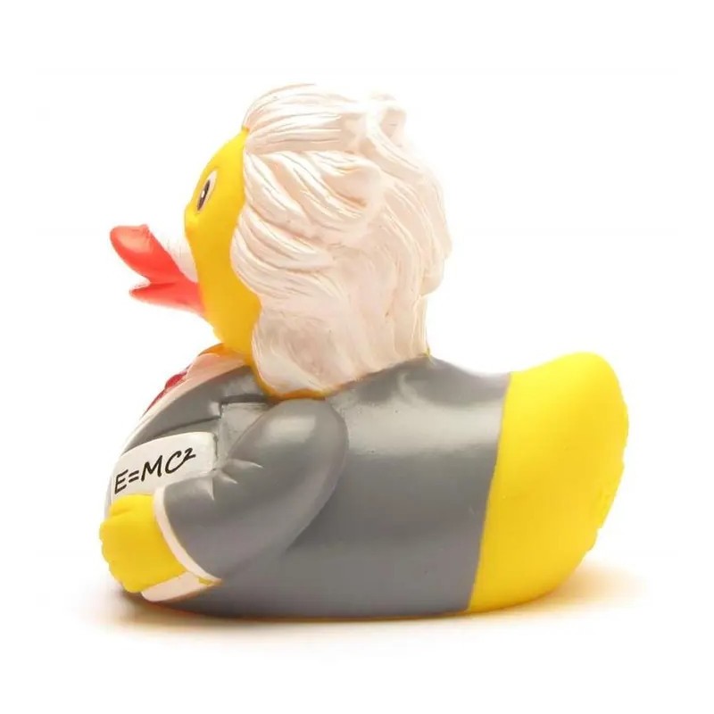Canard EINSTEIN