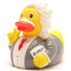 Canard EINSTEIN