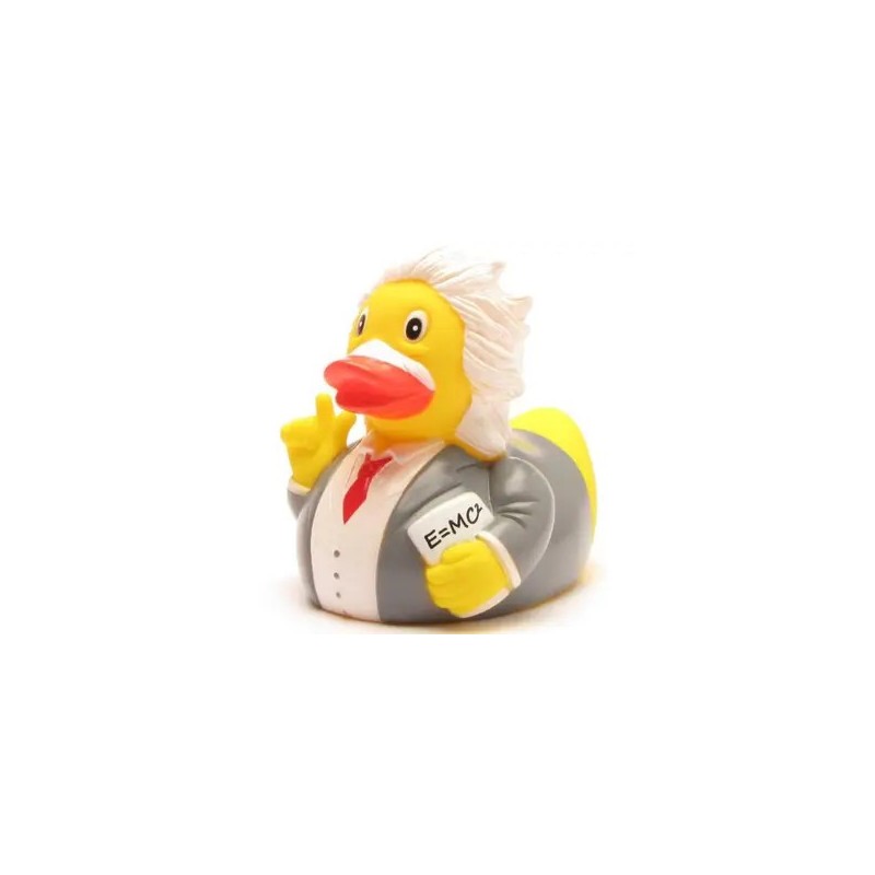 Canard EINSTEIN