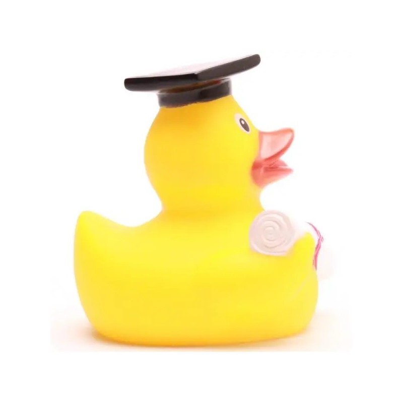 Canard DIPLÔMÉ