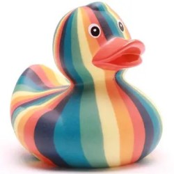 Canard GROOVY
