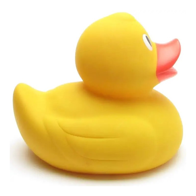 Canard XXL