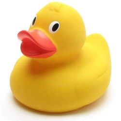 Canard XXL