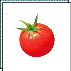 Tatouage TOMATE