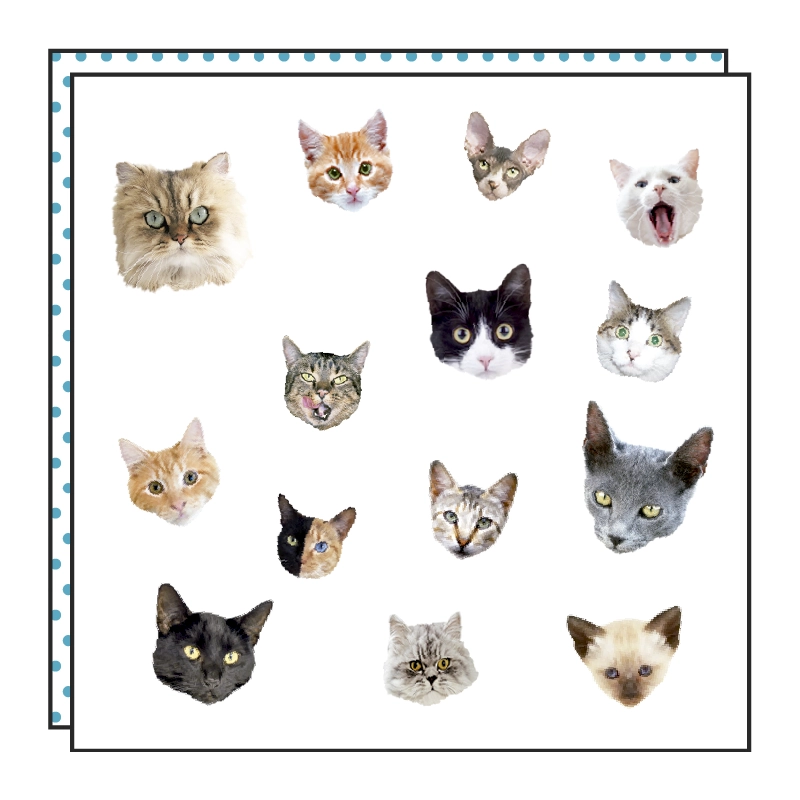 Tatouage PARADE DE CHATS
