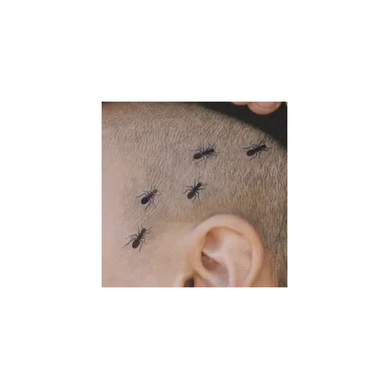 Tatouage FOURMIS