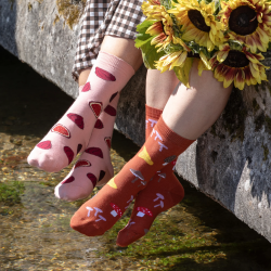 Chaussettes FIGUE