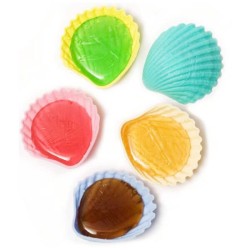 Coquillage ROUDOUDOU