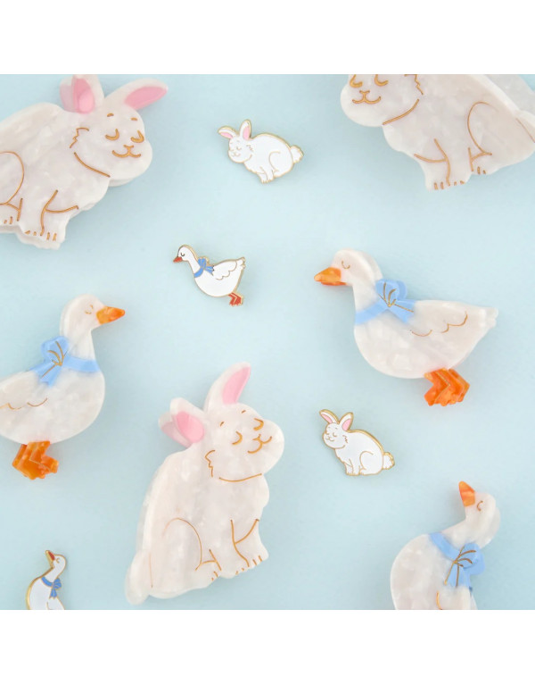 Pin's LAPIN