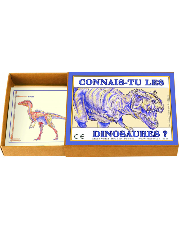 CONNAIS-TU LES DINOSAURES?
